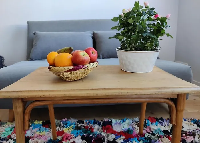 Terrasse 25m - Flat Cosy & Calme - 5 Min Gare & Vinci 투르